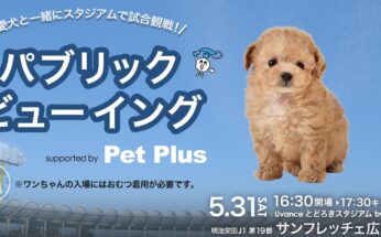 愛犬と一緒に試合観戦!!　5/31(土)サンフレッチェ広島戦「パブリックビューイング supported by ペットプラス」開催のお知らせ