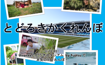 等々力緑地でかくれんぼを開催します！※本イベントは終了しました